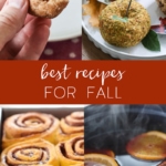 The Best Fall Recipes / Favorite Fall Foods #pumpkin #recipe #fall #fallbaking #easy #apple #applecider #appetizer #desset #best