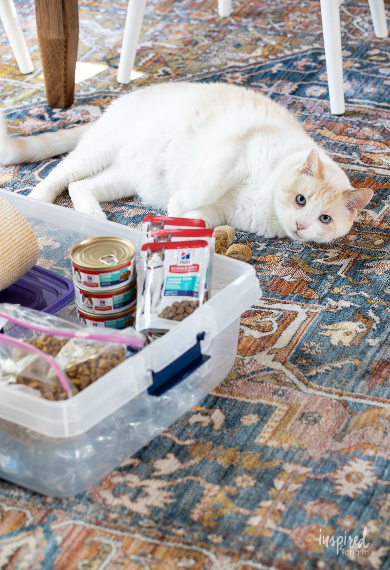 How to Create an Emergency Pet Kit #pet #emergencykit #cat #dog #planning