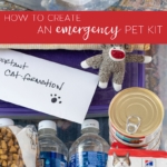 How to Create an Emergency Pet Kit #pet #emergencykit #cat #dog #planning