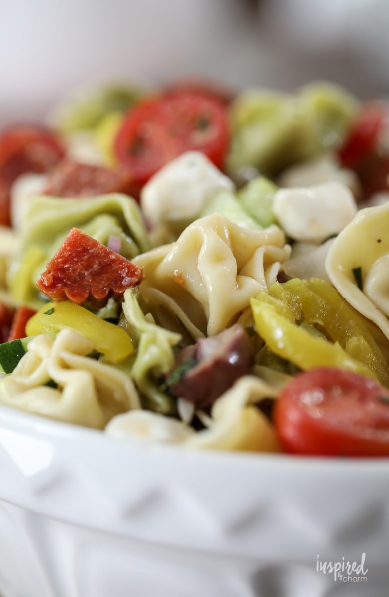 close up of tortellini pasta salad in a large bowl. 