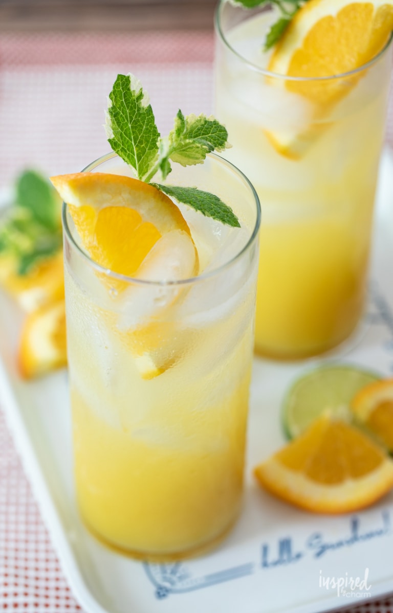 Citrus-Ginger Spritzer Drinkg Recipe