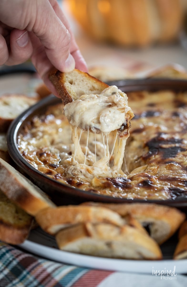 Baked Caramelized Onion Dip #caramlizedonion #dip #baked #recipe #appetizer #oniondip