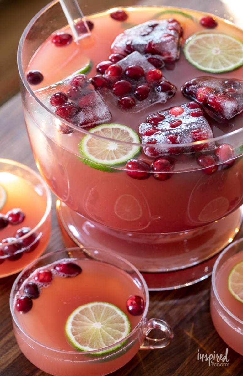 punch bowl full of red hued cranberry Christmas drink