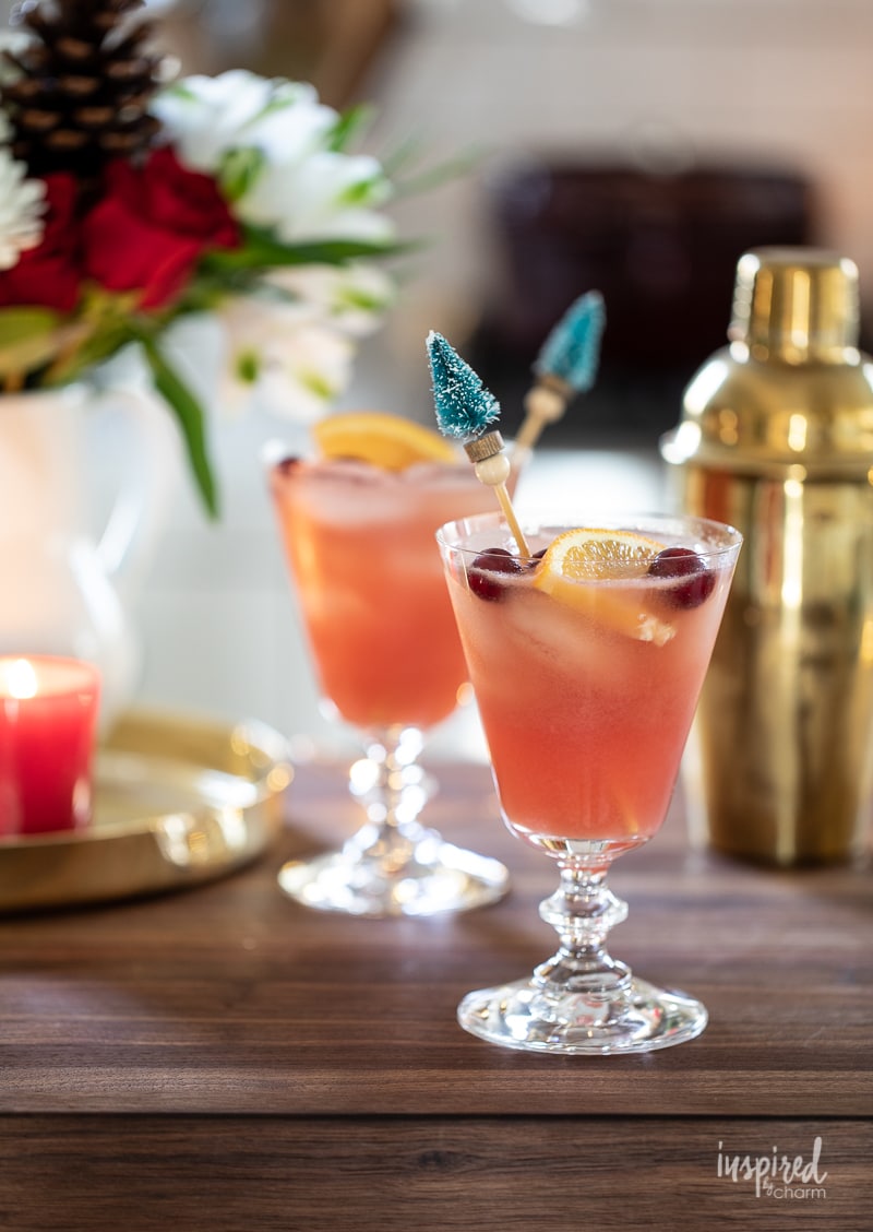 Pink cocktail with cranberries
