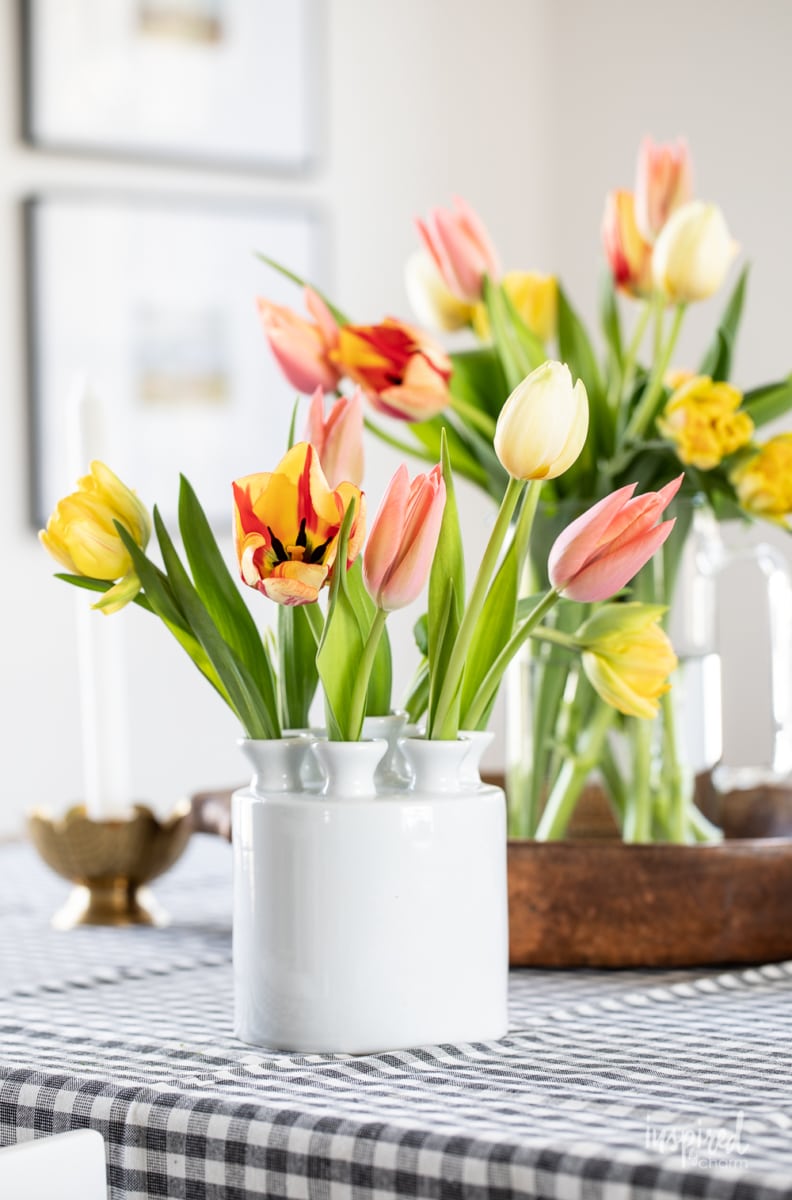 cylinder tulipiere vase with tulips.