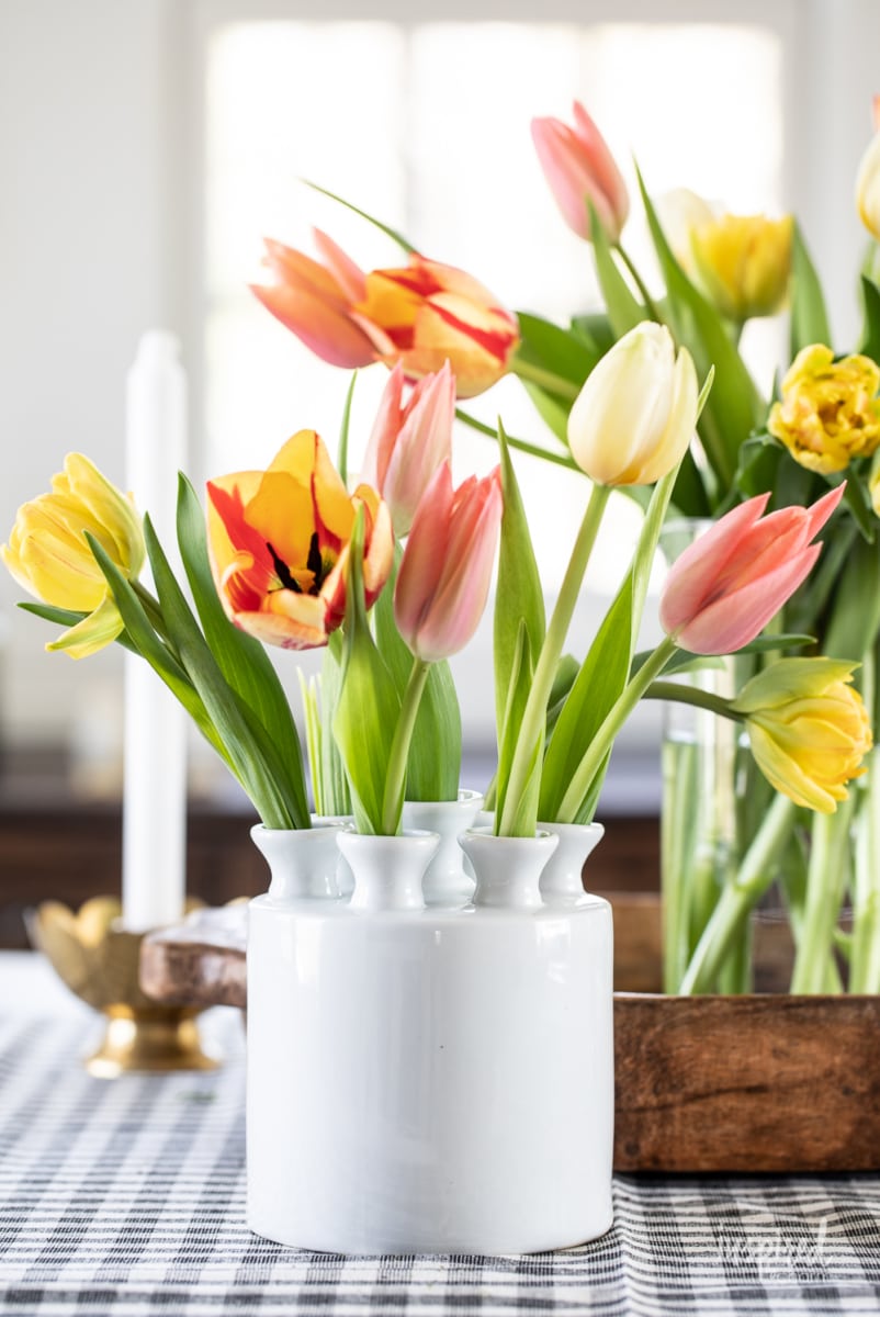 tulipiere vase filled with mixed tulips. 