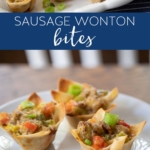 Delicious Appetizer Recipe for Sausage Wonton Bites #sausage #wonton #appetizer #appetizers #snack #recipe