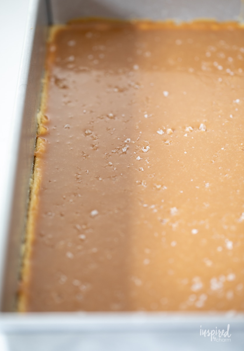Salted Caramel Crumb Bars #saltedcaramel #bars #butterbars #caramel #cookies #recipe #holidaybaking 