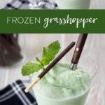 Frozen Grasshopper Drink Recipe