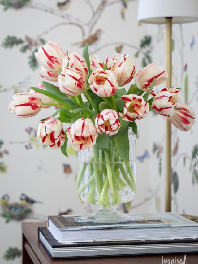 Arranging Tulips: Tips and Tricks for Gorgeous Arrangements