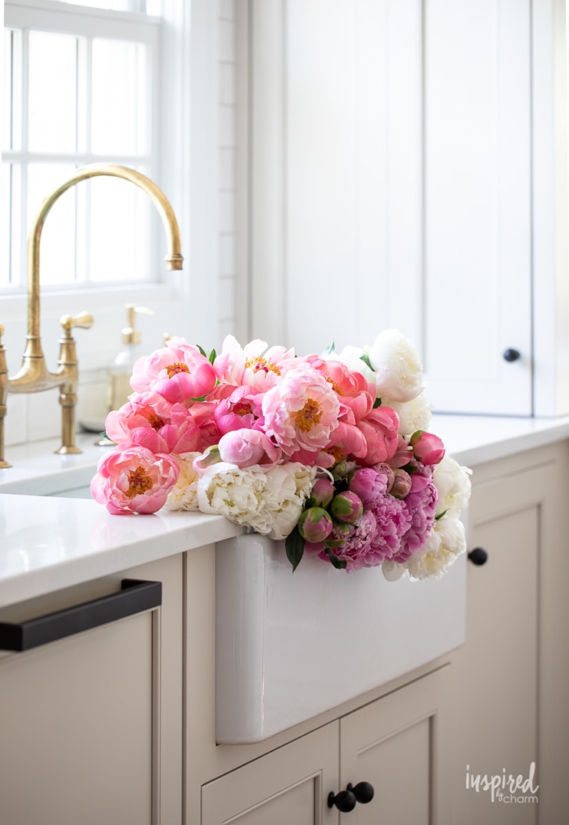 peony flowers in a sink