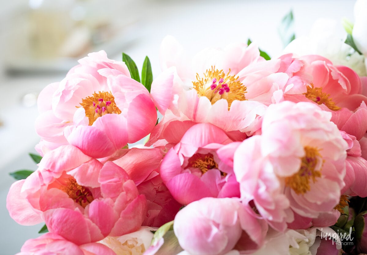 The Ultimate Flower Arranging Guide