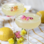 Limoncello Martinis in glasses with flower garnish.