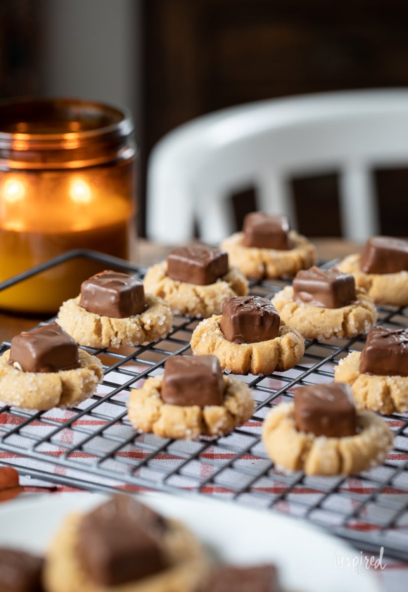 Peanut Butter Candy Bar Cookies on cooling rack.