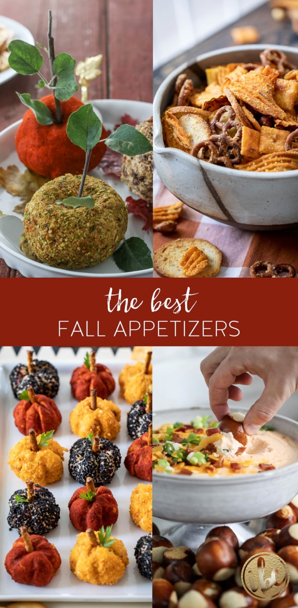 Tasty and Cozy Fall Appetizer Recipes in a collage for pinterest image.