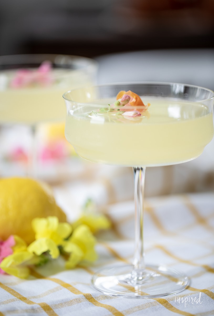Limoncello Martinis in glasses with flower garnish.