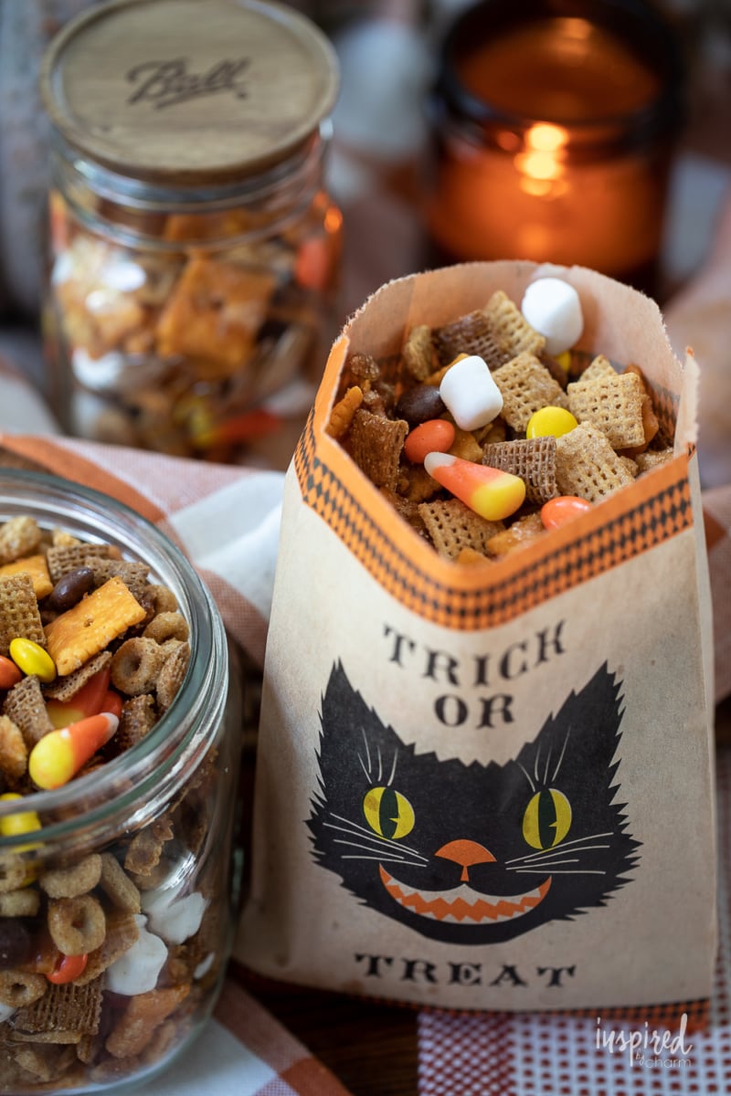 Sweet and Salty Fall Snack Mix in halloween bags.