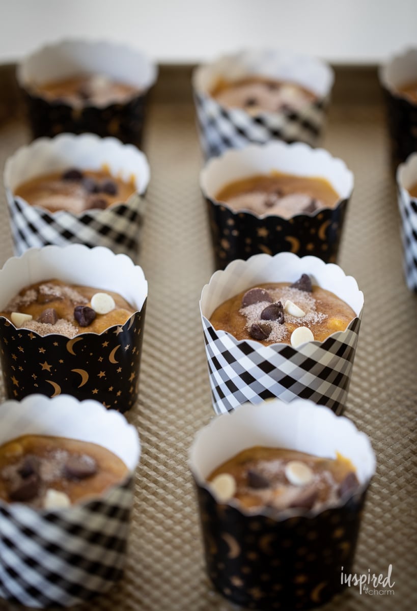 Chocolate Chip Pumpkin Muffins in paper cups.