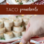 taco pinwheels on a plate with salsa.
