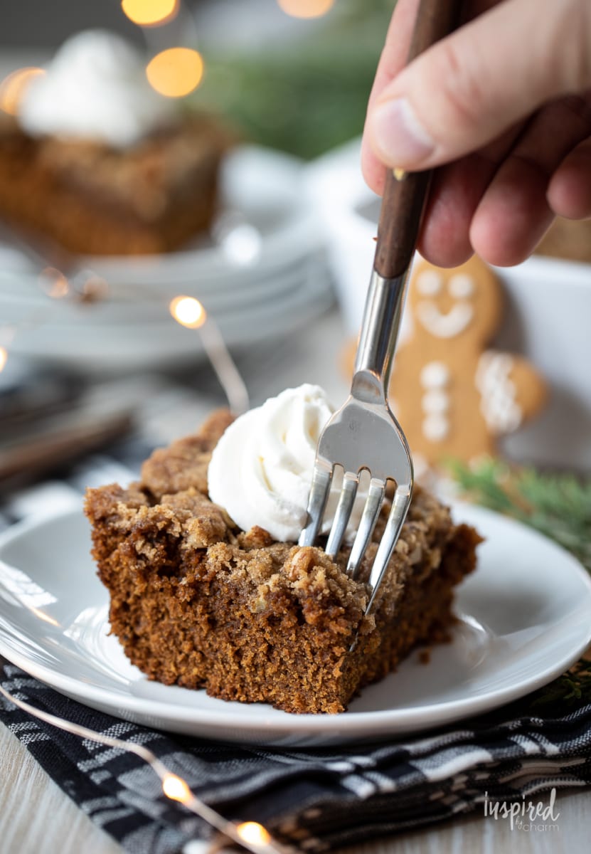 fork into gingerbread cake. 