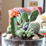cactus planter on a table in a room.