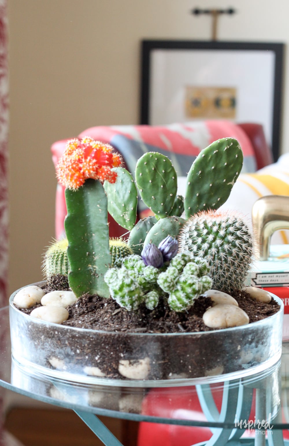 cactus planter on a table in a room. 