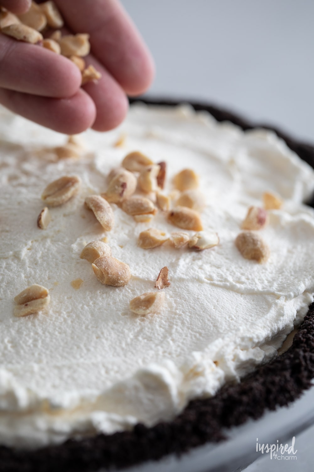 sprinkling a peanut butter ice cream pie with chopped peanuts.