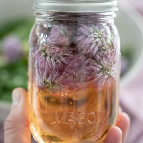hand holding jar of chive blossom vinegar.