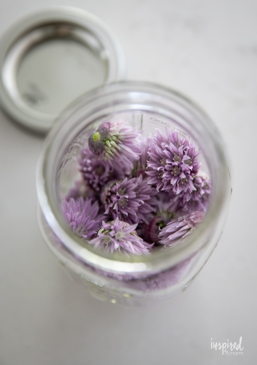 chive blossoms in a canning jar.