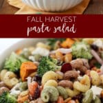 colorful fall pasta salad in a bowl.