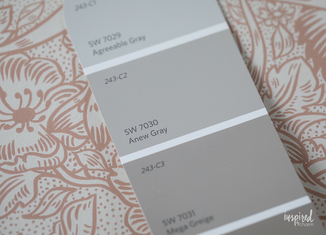 sherwin Williams anew gray paint sample card strip.