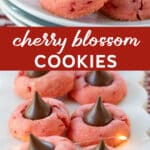 cherry blossom cookies on a platter and plate.