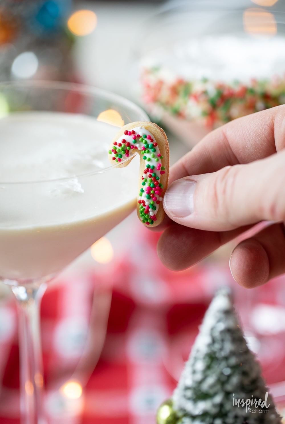 hand adding a sugar cookie to a martini glass with cocktail. 