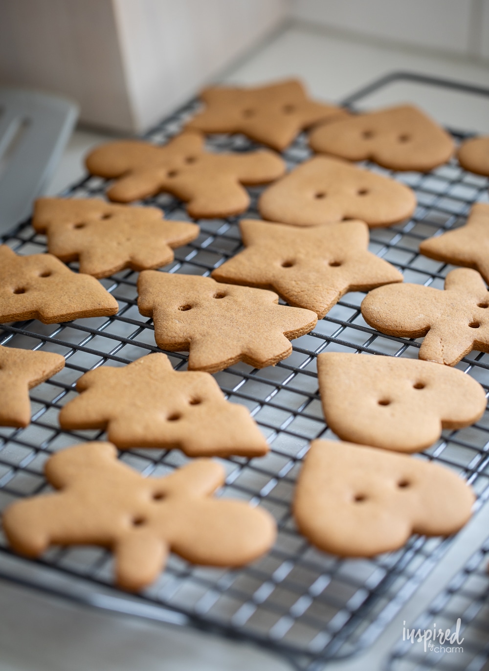 baked gingerbread cookie with small holes on cookie sheet.
