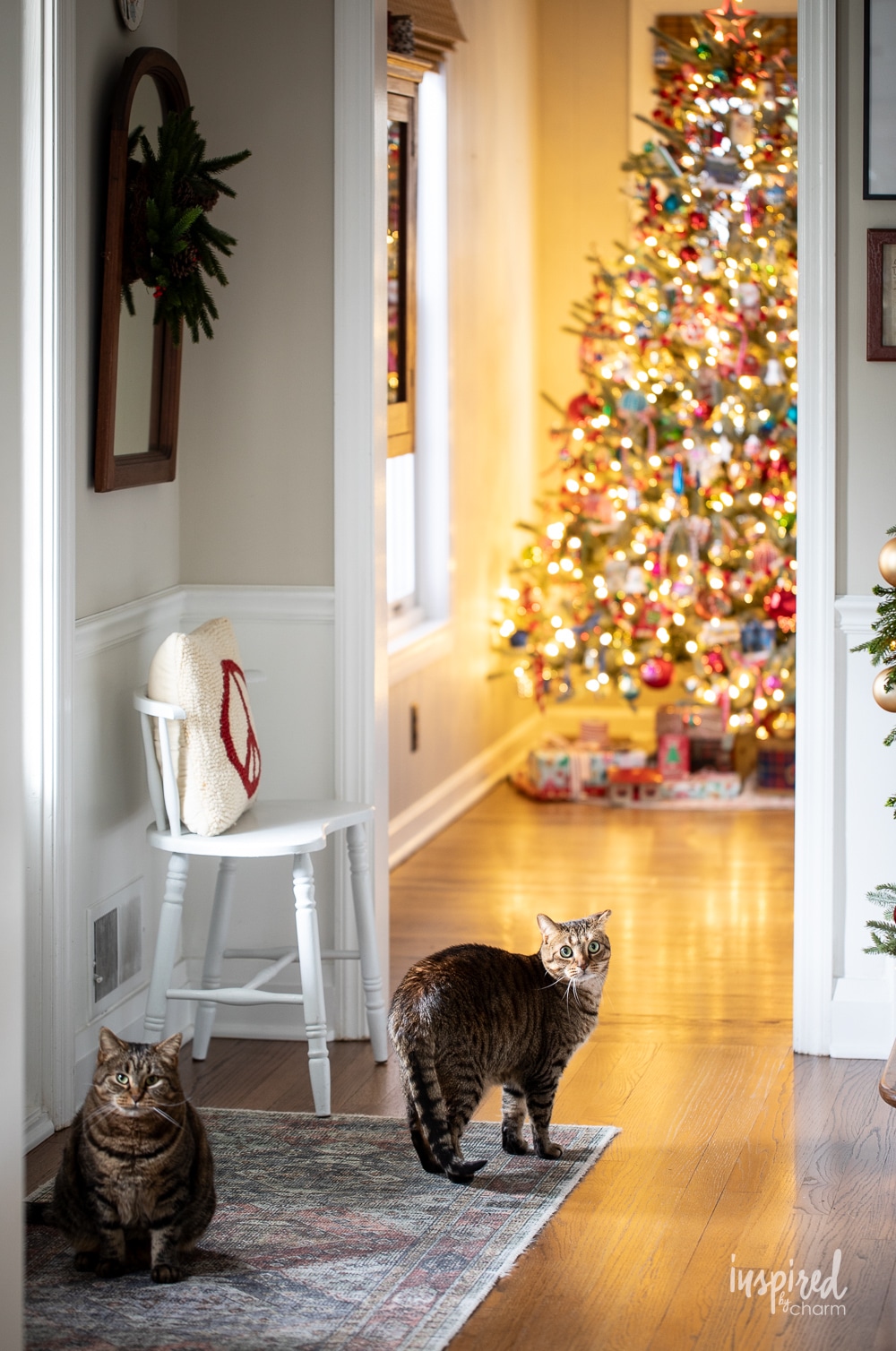 two cats in and entryway with a christmas tree in the background. 