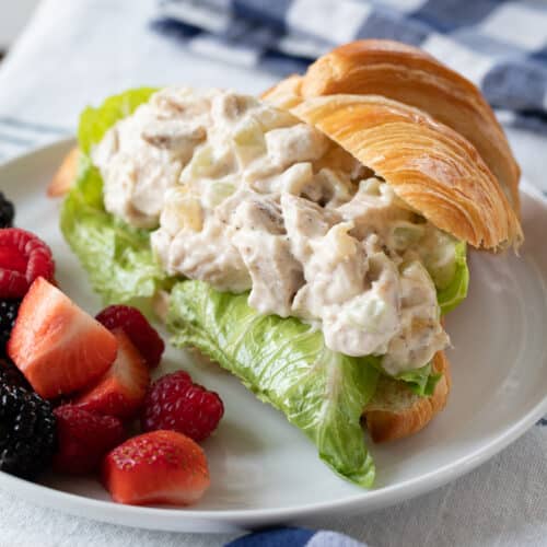 chicken salad sandwich served with fruit on a plate.