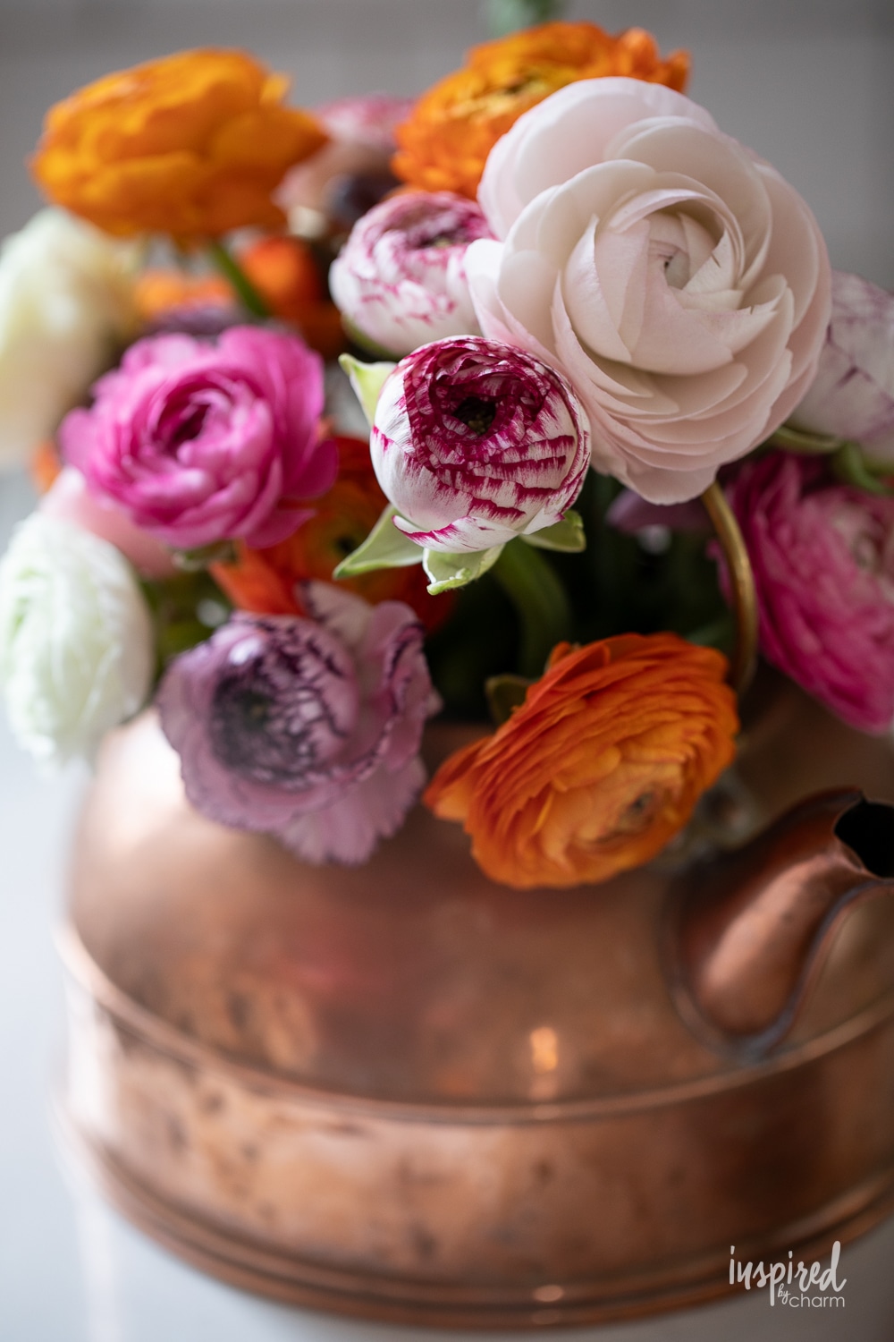 colorful ranunculus flowers in a copper teapot.