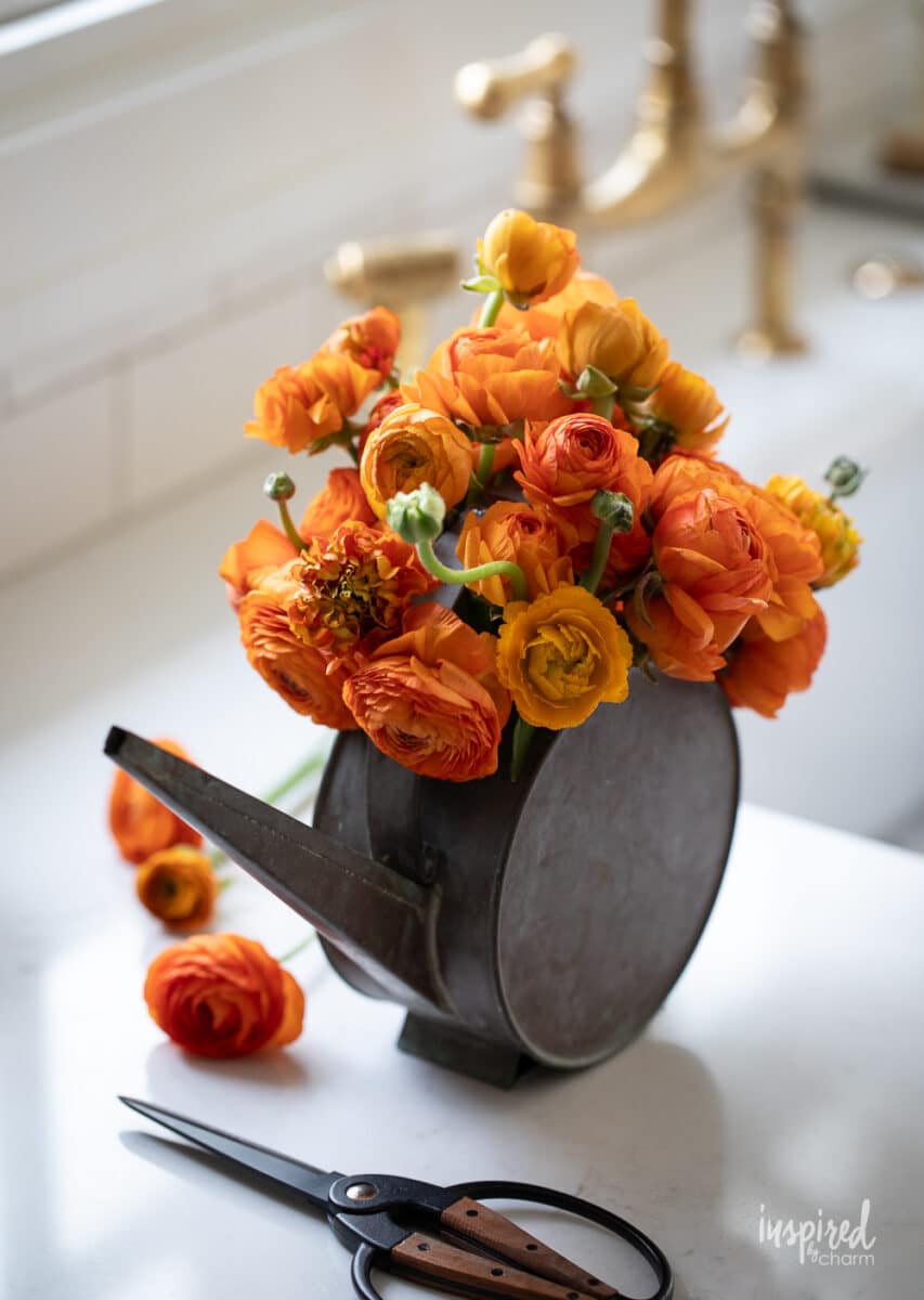 Diy Ranunculus How to Arrange Ranunculus : Step-by-Step Guide