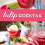 pink tulip cocktail in a glass with lemon and mint.