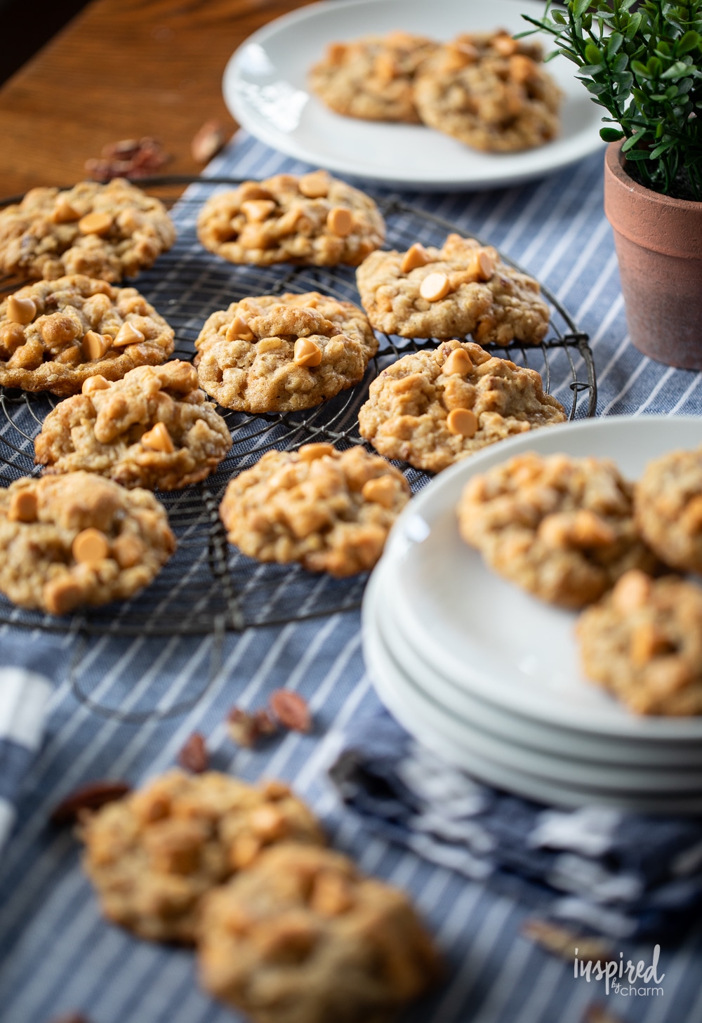 Butterscotch Chip Oatmeal Cookies on a cooling rack and stack of plates.