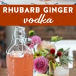 homemade rhubarb ginger vodka in a bottle and served in glasses and a shot glass.