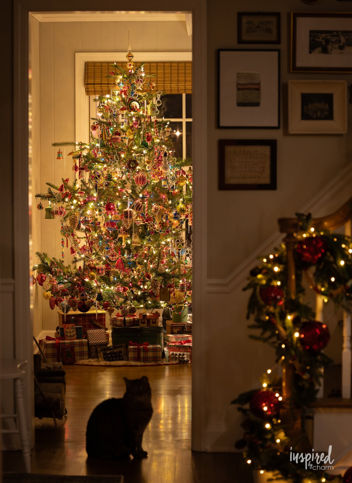 christmas tree at night with cat.