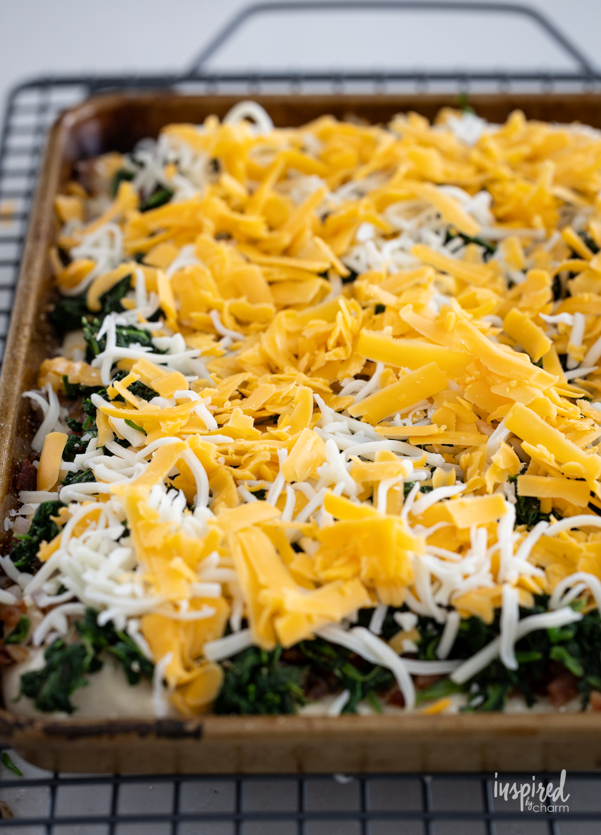Cheesy Spinach Bacon Appetizer Bars unbaked topped with cheese.