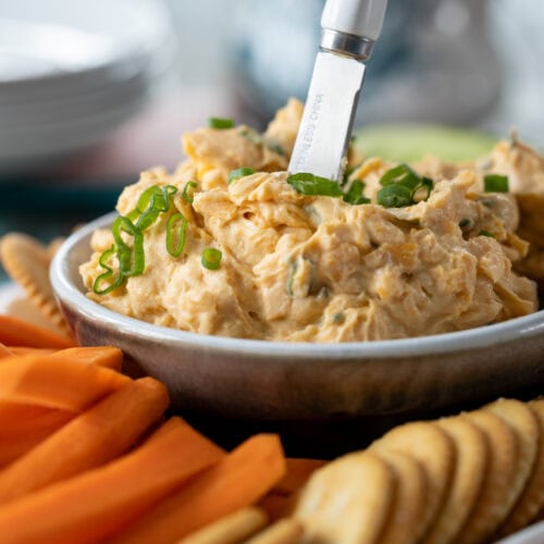 Pub-Style Cheddar Cheese Dip in a bowl with crackers and veggies.