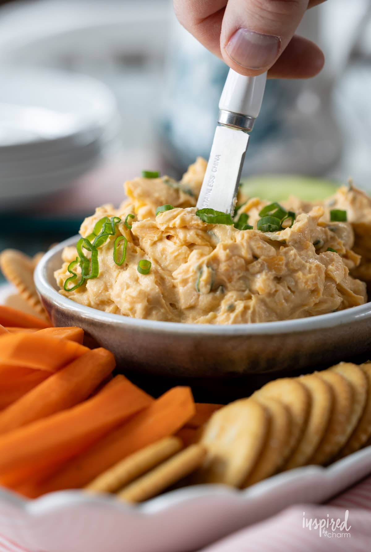 Pub-Style Cheddar Cheese Dip in a bowl with crackers and veggies.