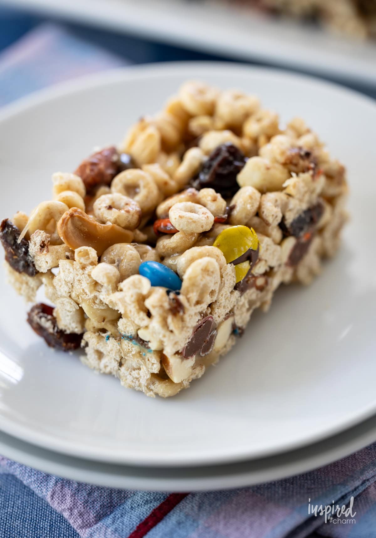 single Trail Mix Bar on a plate.