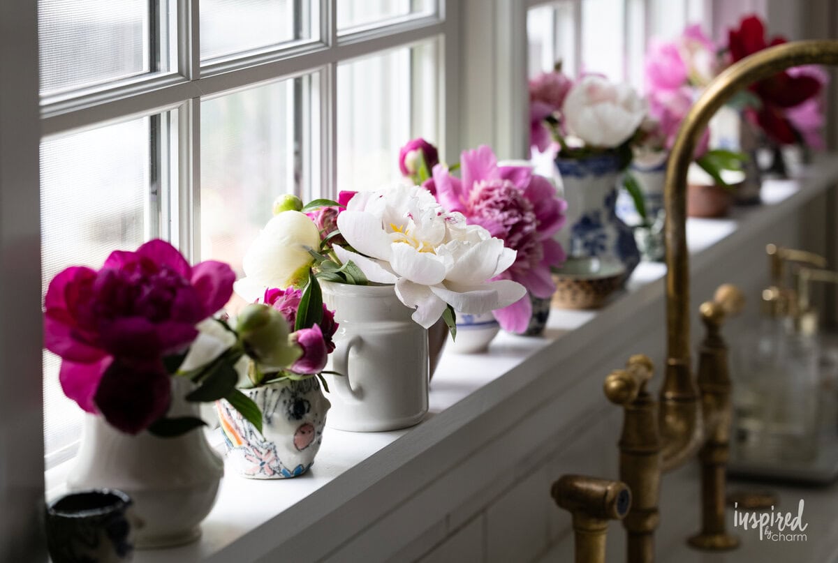 row of peonies decorated by a kitchen window. 