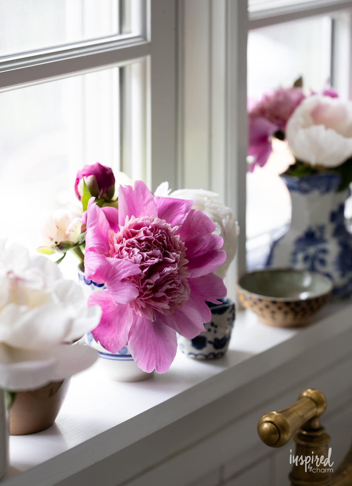peonies in blue and white vases. 