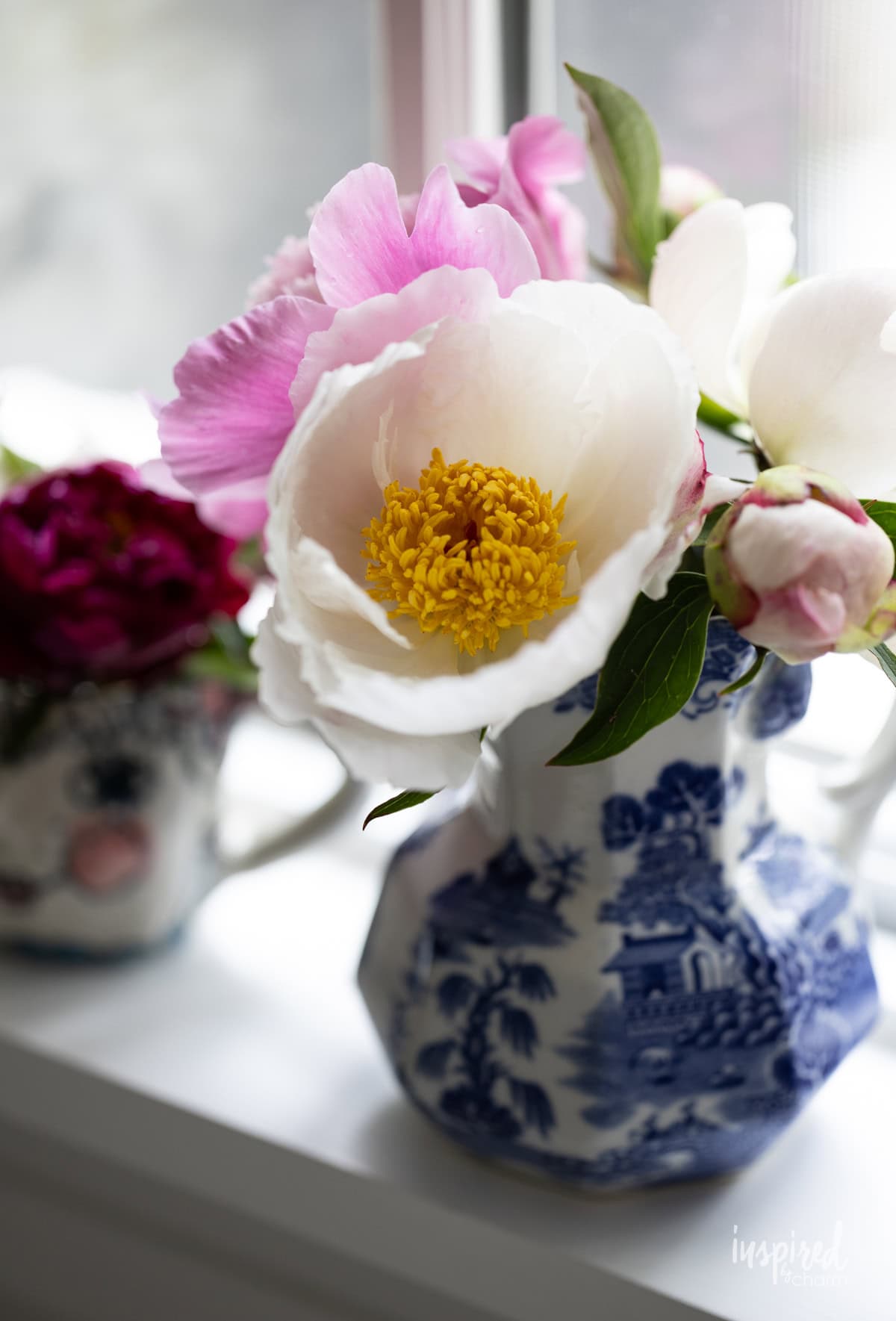 peonies in small pitcher. 