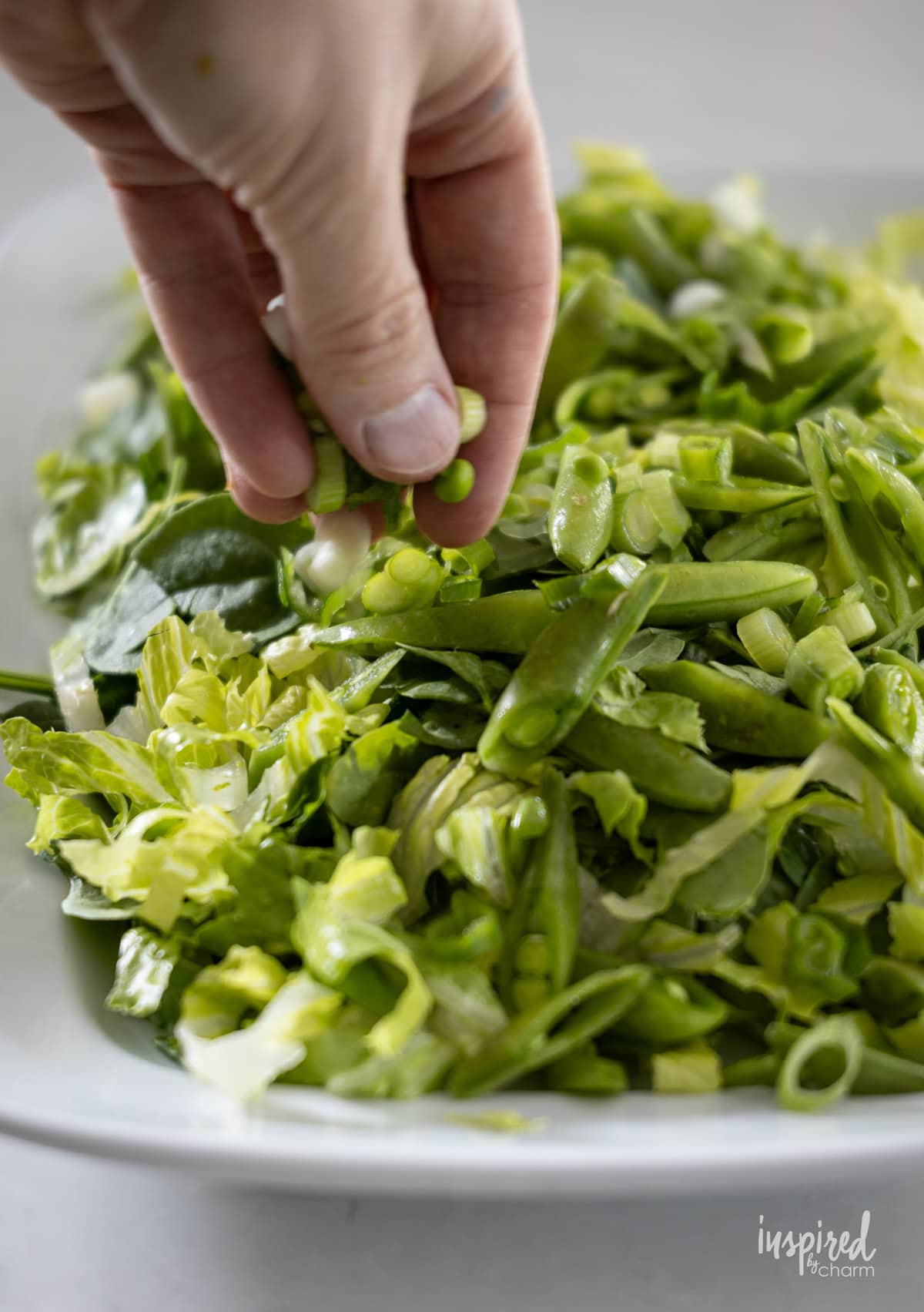 hand adding onions to lettuce on plate.